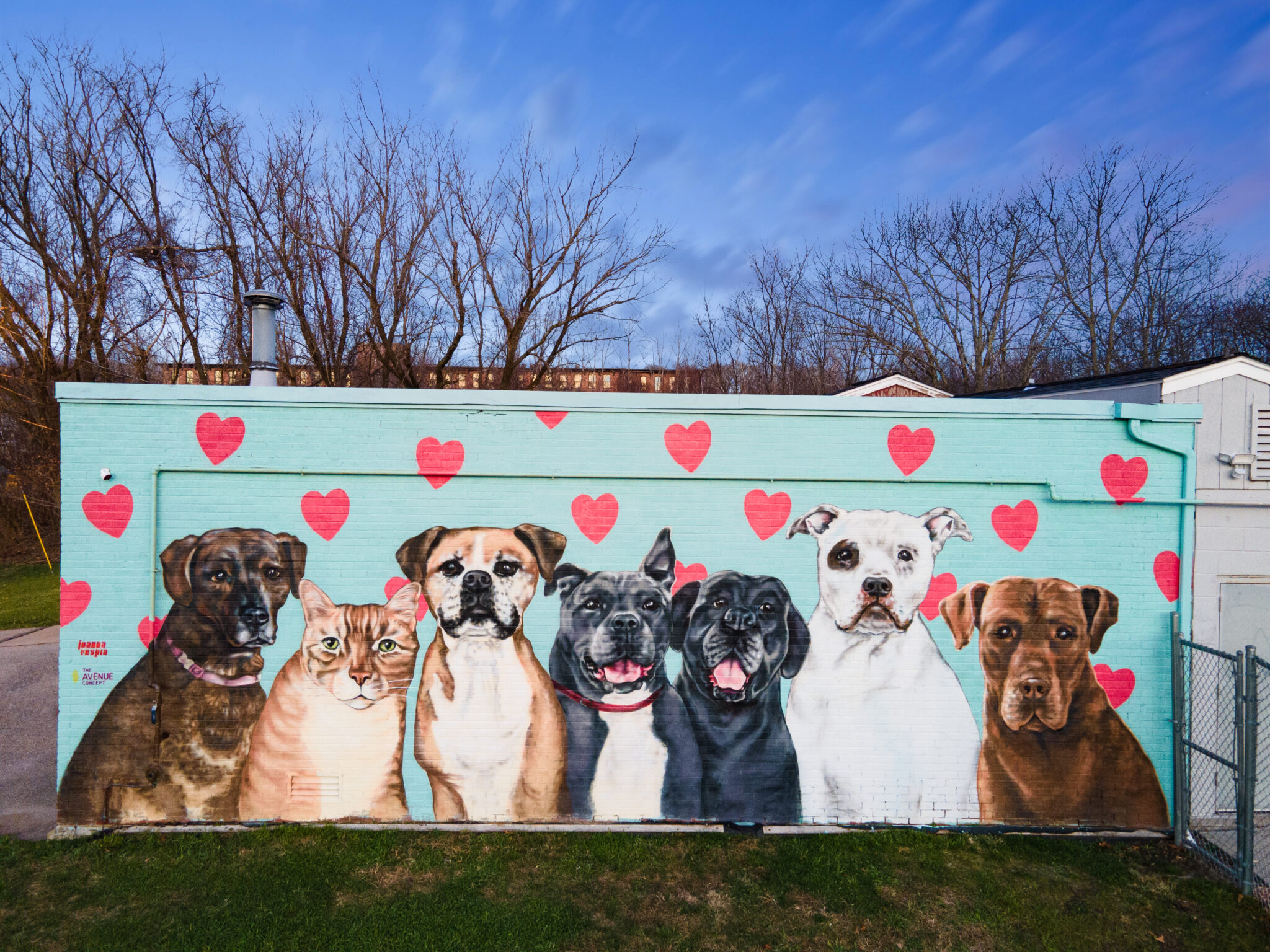 New England Humane Society-Int-Ext